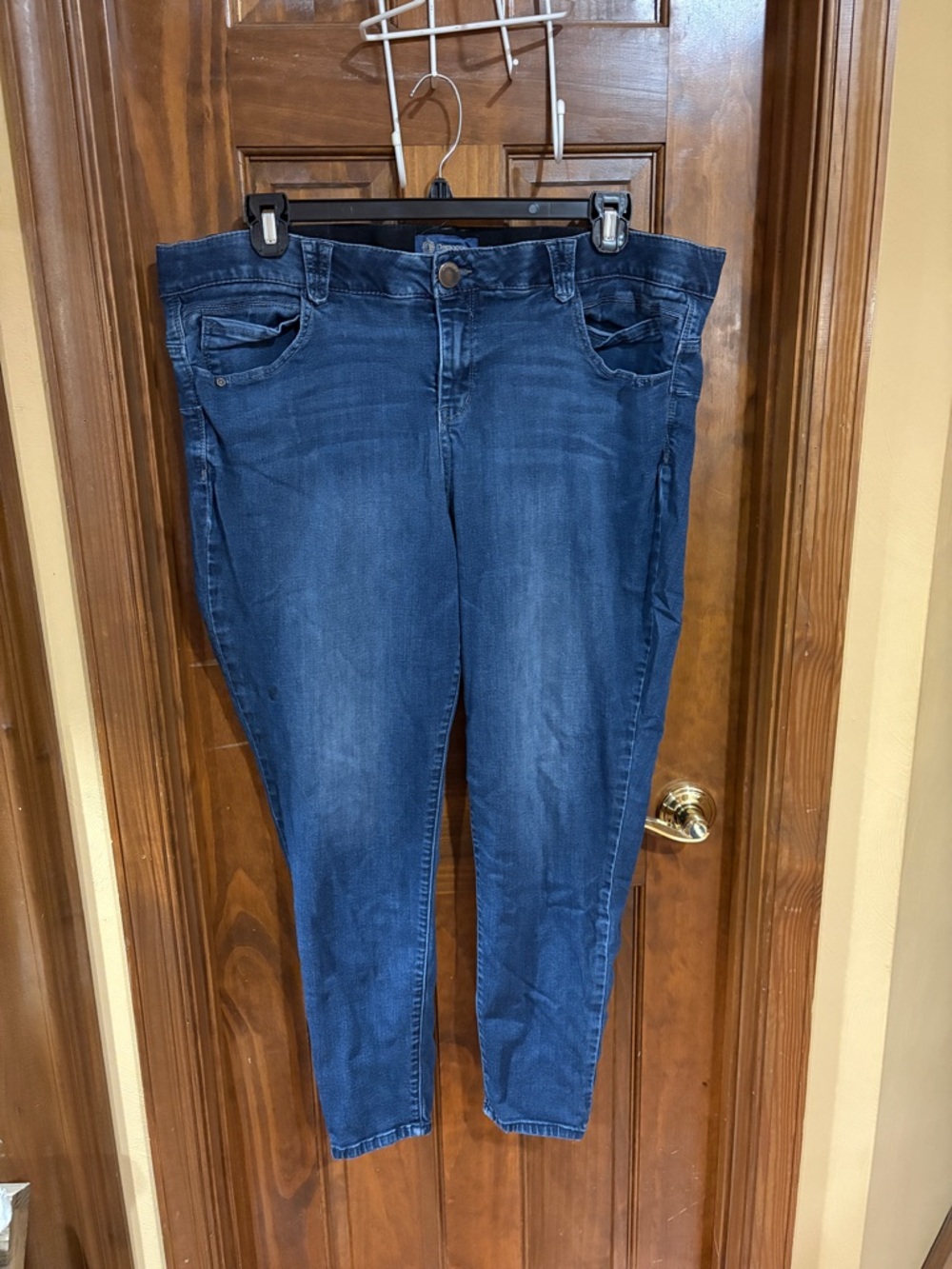 Democracy Skinny Jeans in Dark Blue Wash